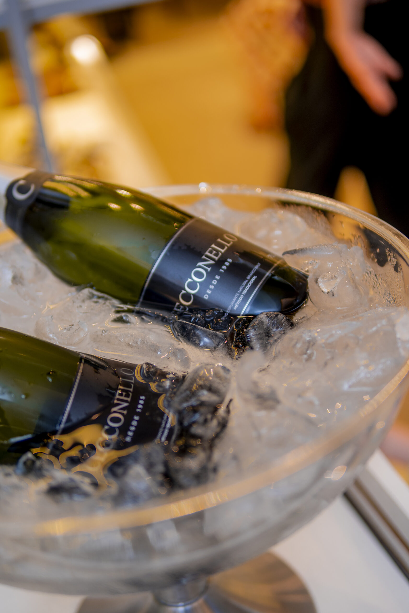 Cópia de CECONELLO-131